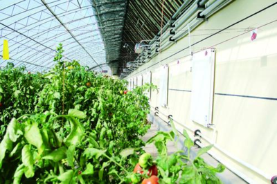 精準(zhǔn)服務(wù)為企業(yè)發(fā)展注入科技動能