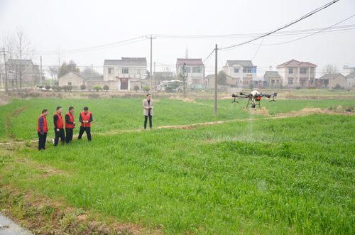 省農(nóng)機(jī)推廣站來我市開展省 市 縣農(nóng)機(jī)科技志愿服務(wù)大聯(lián)動(dòng)