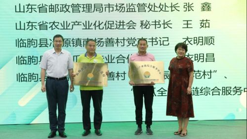 電商 物流 農(nóng)特產(chǎn),山東打造鄉(xiāng)村振興數(shù)字化創(chuàng)新模式