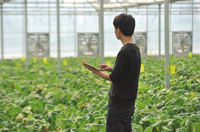 振興鄉村 國家發改委點贊貴州農業云、廣東農村超高速無線局域網