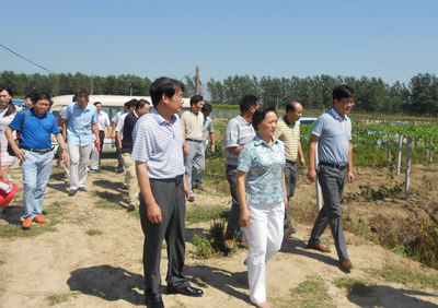 信陽農林學院開展&ldquo;送科技下鄉&rdquo;活動