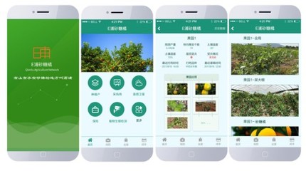 E浦砂糖橘-打造砂糖橘大數(shù)據(jù)品牌平臺(tái)