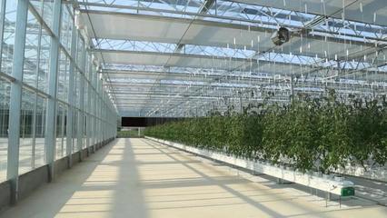 三亞美麗鄉(xiāng)村建設(shè)-共享農(nóng)莊(一)