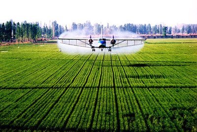 推動農(nóng)業(yè)現(xiàn)代化,政府農(nóng)業(yè)創(chuàng)業(yè)項目的重要性