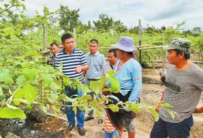 農(nóng)民豐收節(jié)楊凌分會(huì)場(chǎng)這些做法成效獲點(diǎn)贊