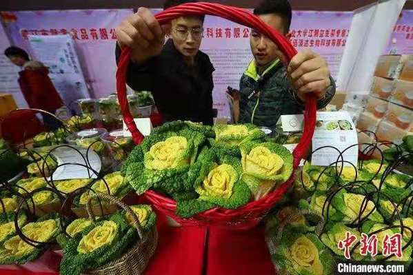 農產品嘉年華 玫瑰白菜盆景蔬菜搶眼