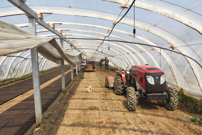 銅山區(qū)黃集鎮(zhèn)政協(xié)聯(lián)絡(luò)組在行動