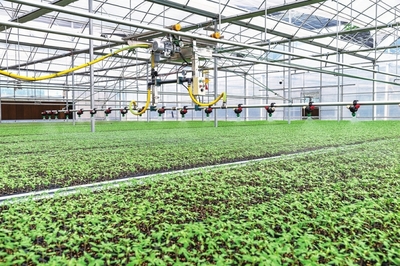 奮力繪就鄉村振興米易畫卷 --米易縣農業農村局全力推動農業農村高質量發展記