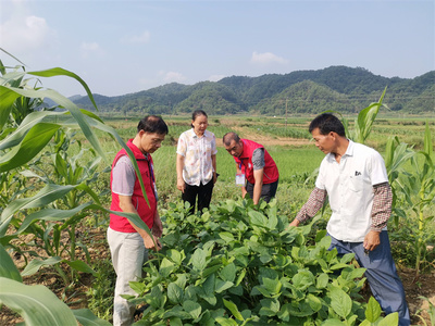 黨建引領鄉(xiāng)村振興 | 橫州市農業(yè)農村局農科干部下沉鄉(xiāng)村開展秋季種養(yǎng)生產技術指導