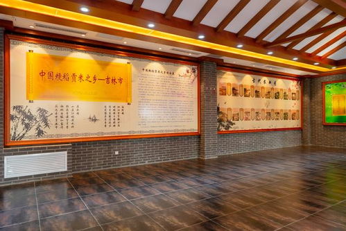 冰雪奇緣在吉林 冬季遛娃的農業科技之旅