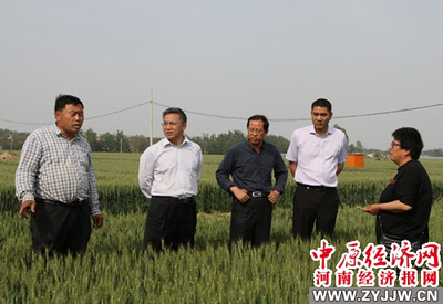 河南農業大學 科技套餐送達田間地頭，精準服務助推鄉村振興