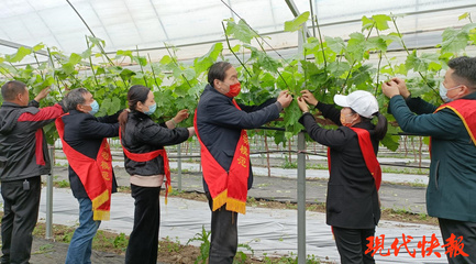 鹽城勞模愛心團隊 科技助農，護航春耕防疫“兩不誤”